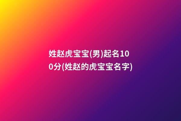 姓赵虎宝宝(男)起名100分(姓赵的虎宝宝名字)