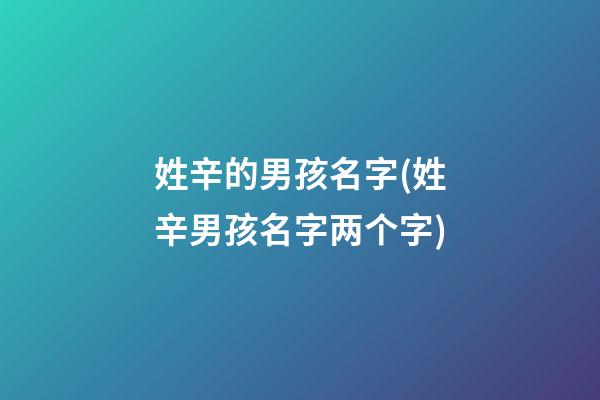 姓辛的男孩名字(姓辛男孩名字两个字)