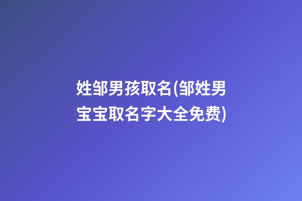 姓邹男孩取名(邹姓男宝宝取名字大全免费)