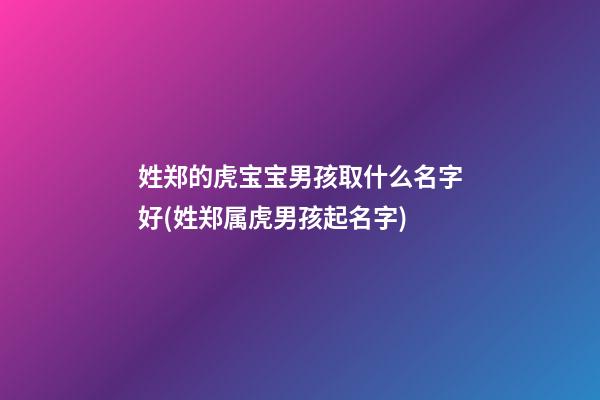 姓郑的虎宝宝男孩取什么名字好(姓郑属虎男孩起名字)