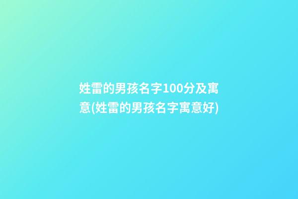 姓雷的男孩名字100分及寓意(姓雷的男孩名字寓意好)