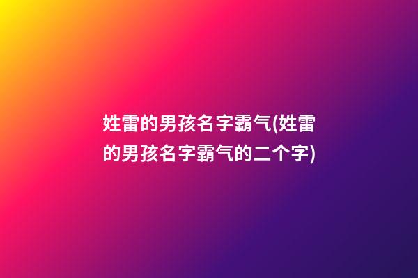 姓雷的男孩名字霸气(姓雷的男孩名字霸气的二个字)