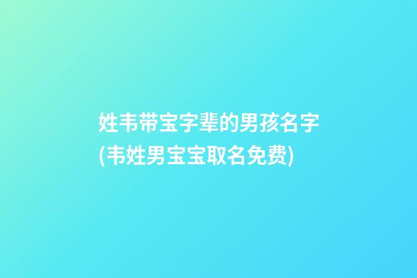 姓韦带宝字辈的男孩名字(韦姓男宝宝取名免费)