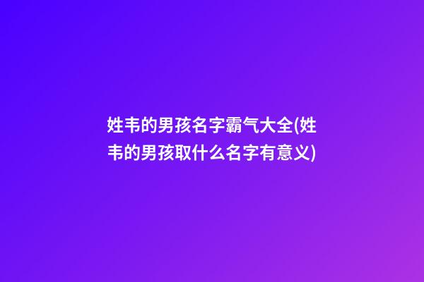 姓韦的男孩名字霸气大全(姓韦的男孩取什么名字有意义)