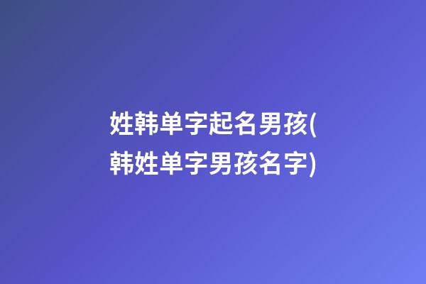姓韩单字起名男孩(韩姓单字男孩名字)