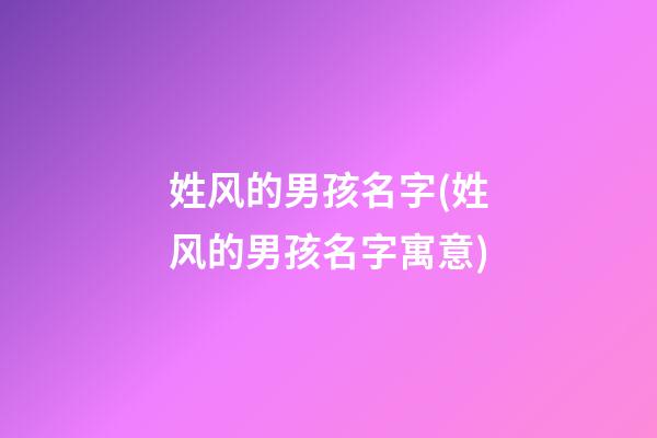 姓风的男孩名字(姓风的男孩名字寓意)