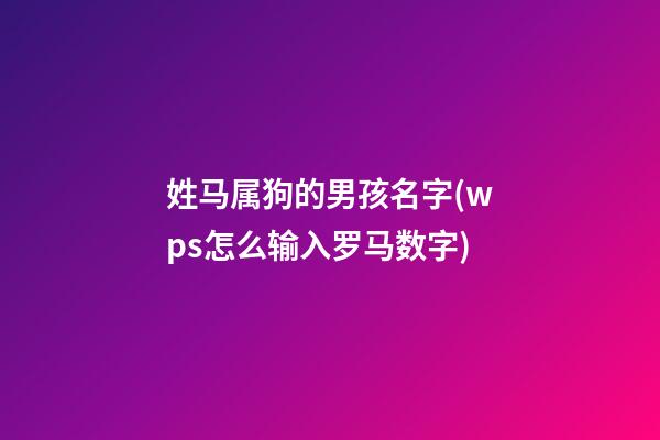 姓马属狗的男孩名字(wps怎么输入罗马数字)