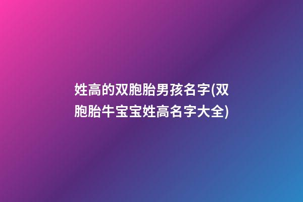 姓高的双胞胎男孩名字(双胞胎牛宝宝姓高名字大全)