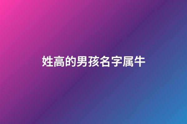 姓高的男孩名字属牛