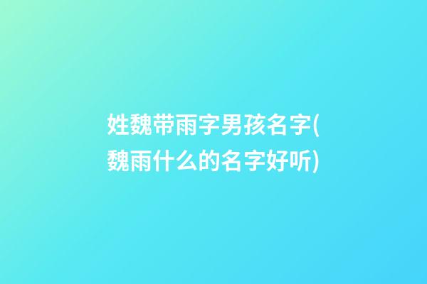 姓魏带雨字男孩名字(魏雨什么的名字好听)
