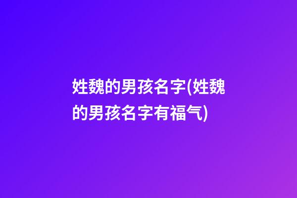 姓魏的男孩名字(姓魏的男孩名字有福气)