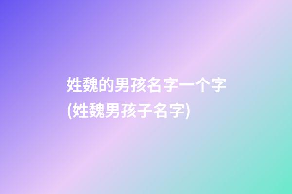 姓魏的男孩名字一个字(姓魏男孩子名字)