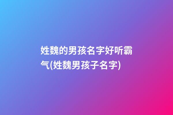 姓魏的男孩名字好听霸气(姓魏男孩子名字)