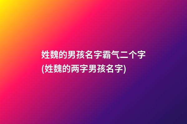 姓魏的男孩名字霸气二个字(姓魏的两字男孩名字)
