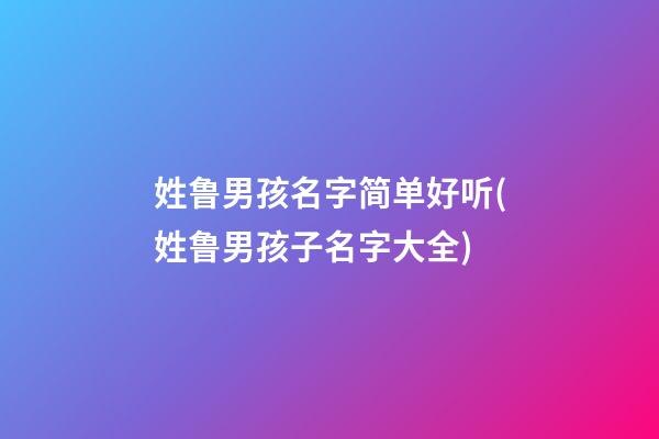 姓鲁男孩名字简单好听(姓鲁男孩子名字大全)
