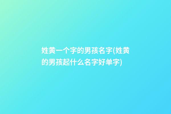 姓黄一个字的男孩名字(姓黄的男孩起什么名字好单字)