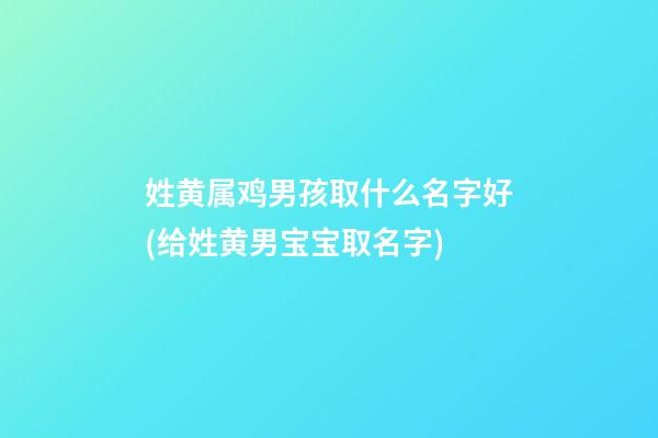 姓黄属鸡男孩取什么名字好(给姓黄男宝宝取名字)