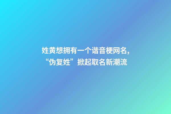 姓黄想拥有一个谐音梗网名,“伪复姓”掀起取名新潮流-第1张-观点-玄机派