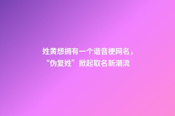 姓黄想拥有一个谐音梗网名，“伪复姓”掀起取名新潮流-第1张-观点-玄机派