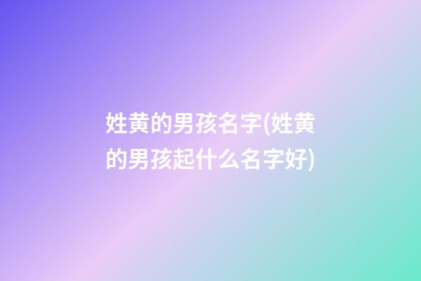 姓黄的男孩名字(姓黄的男孩起什么名字好)