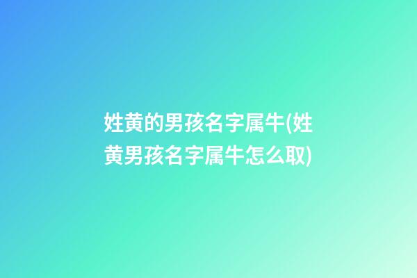 姓黄的男孩名字属牛(姓黄男孩名字属牛怎么取)