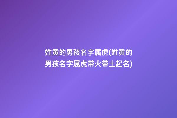 姓黄的男孩名字属虎(姓黄的男孩名字属虎带火带土起名)