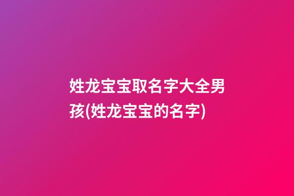 姓龙宝宝取名字大全男孩(姓龙宝宝的名字)