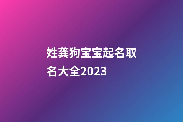 姓龚狗宝宝起名取名大全2023