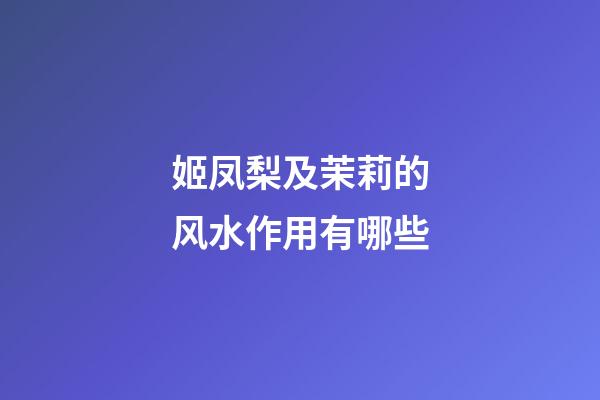 姬凤梨及茉莉的风水作用有哪些?