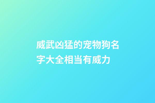 威武凶猛的宠物狗名字大全相当有威力