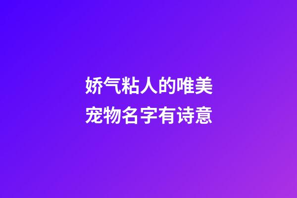 娇气粘人的唯美宠物名字有诗意