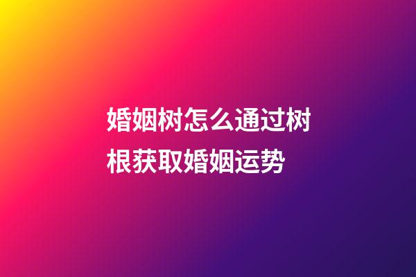 婚姻树怎么通过树根获取婚姻运势