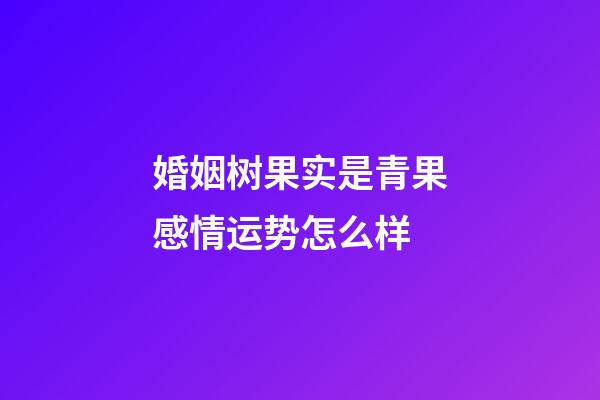 婚姻树果实是青果感情运势怎么样