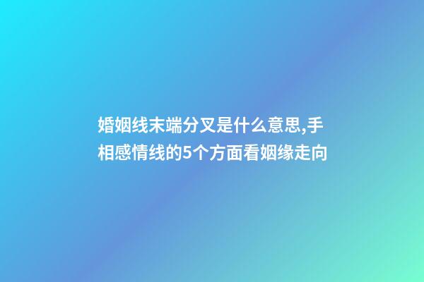 婚姻线末端分叉是什么意思,手相感情线的5个方面看姻缘走向-第1张-观点-玄机派