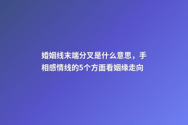 婚姻线末端分叉是什么意思，手相感情线的5个方面看姻缘走向-第1张-观点-玄机派