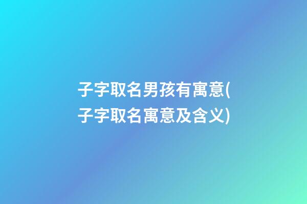 子字取名男孩有寓意(子字取名寓意及含义)