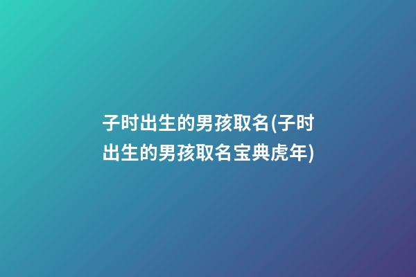 子时出生的男孩取名(子时出生的男孩取名宝典虎年)