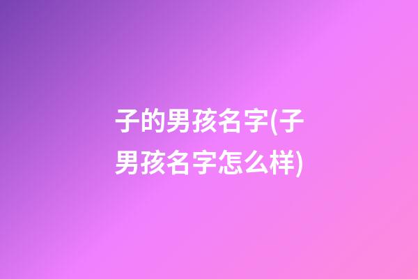 子的男孩名字(子男孩名字怎么样)