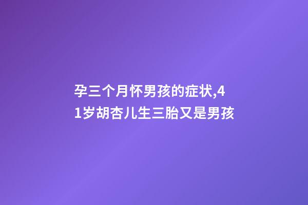 孕三个月怀男孩的症状,41岁胡杏儿生三胎又是男孩-第1张-观点-玄机派