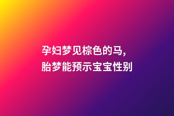 孕妇梦见棕色的马,胎梦能预示宝宝性别-第1张-观点-玄机派
