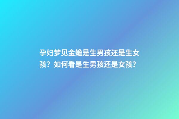 孕妇梦见金蟾是生男孩还是生女孩？如何看是生男孩还是女孩？