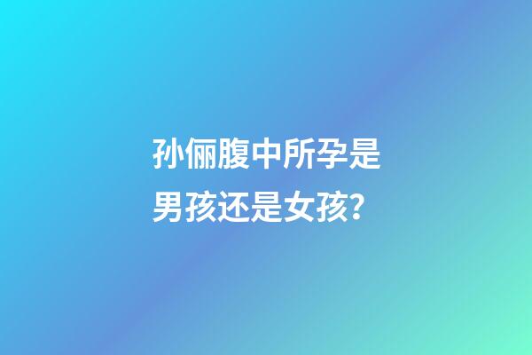 孙俪腹中所孕是男孩还是女孩？