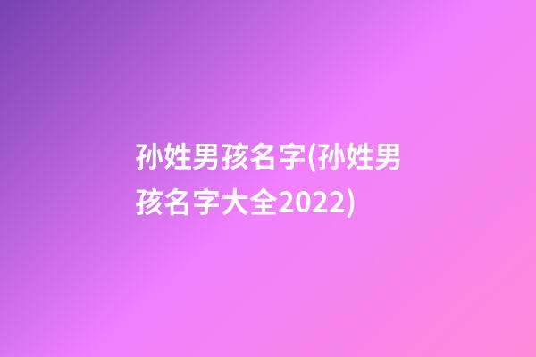 孙姓男孩名字(孙姓男孩名字大全2022)