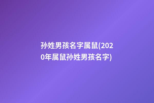 孙姓男孩名字属鼠(2020年属鼠孙姓男孩名字)
