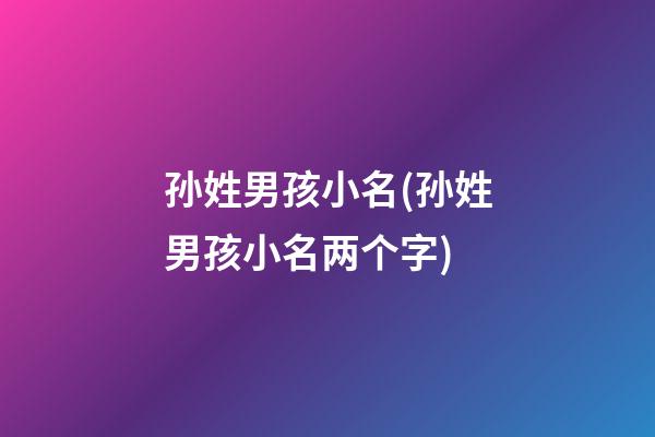 孙姓男孩小名(孙姓男孩小名两个字)