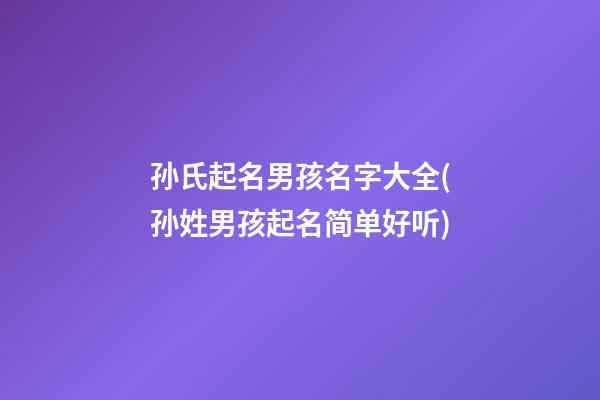 孙氏起名男孩名字大全(孙姓男孩起名简单好听)