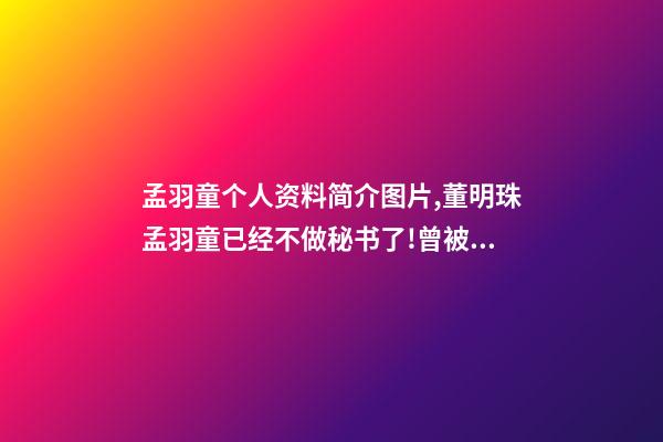 孟羽童个人资料简介图片,董明珠孟羽童已经不做秘书了!曾被视为“第二个董明珠”-第1张-观点-玄机派
