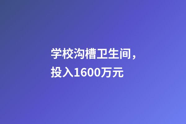 学校沟槽卫生间，投入1600万元-第1张-观点-玄机派