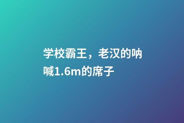 学校霸王，老汉的呐喊1.6m的席子-第1张-观点-玄机派
