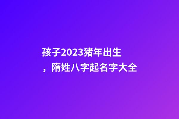 孩子2023猪年出生，隋姓八字起名字大全
